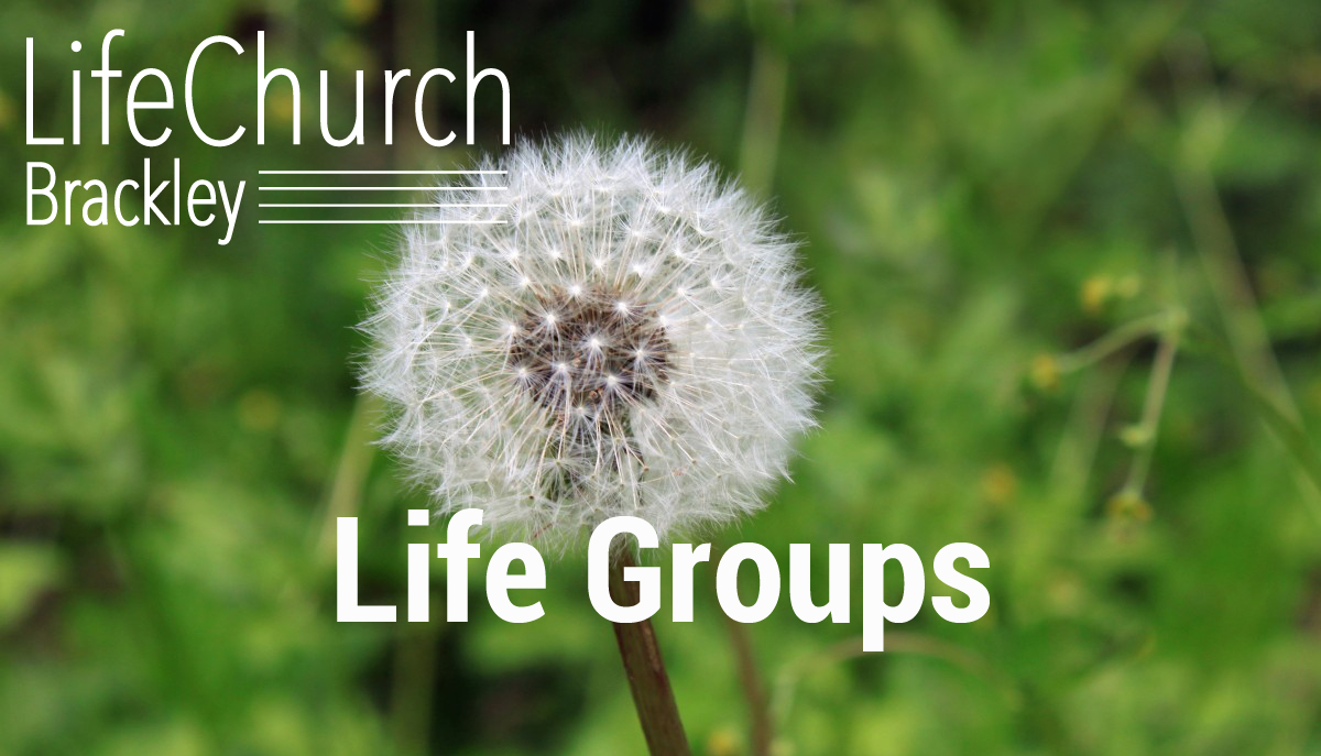 Lifegroups banner